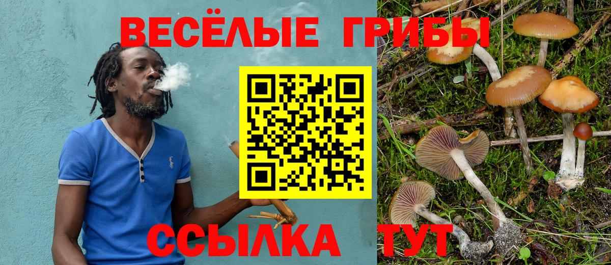 Псилоцибиновые грибы Cubensis  Псилоцибиновые грибы Psilocybe  Губкинский  Вход с VPN 