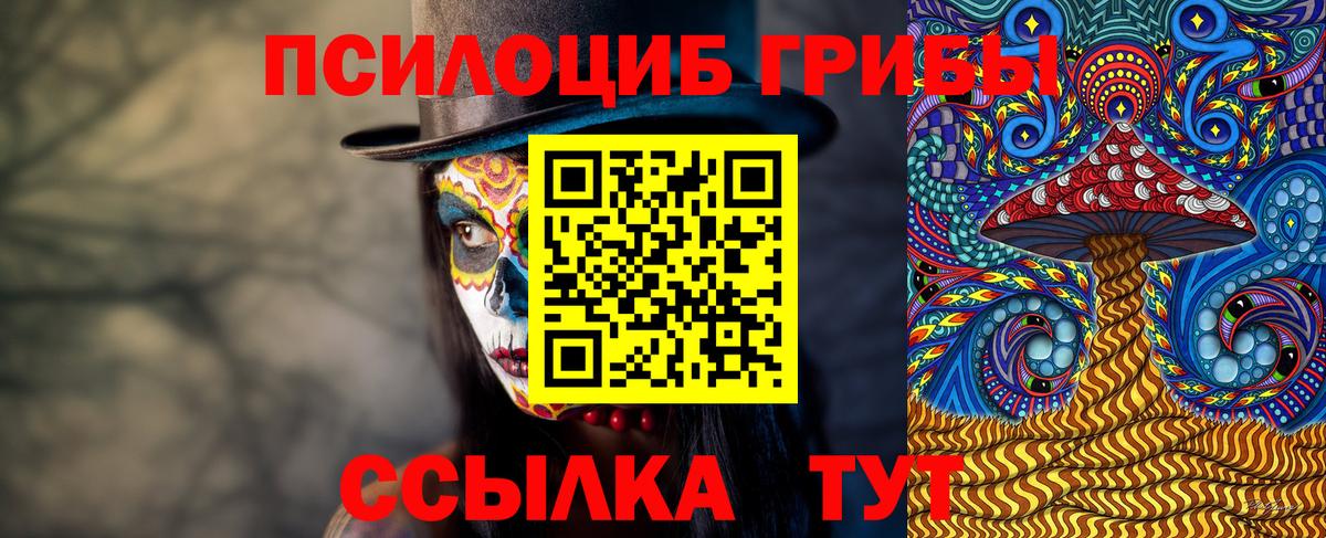 Псилоцибиновые грибы мухоморы Губкинский